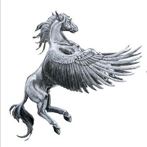 Meet your Posher, Tiali